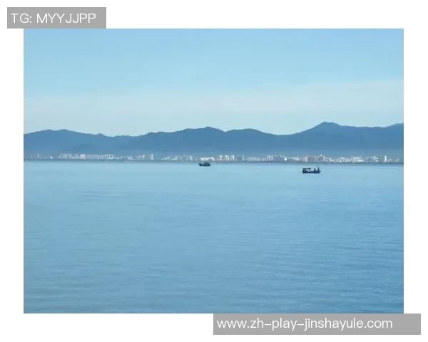 新金沙娱乐123456-探索新金沙娱乐123456的多元魅力-新金沙娱乐123456